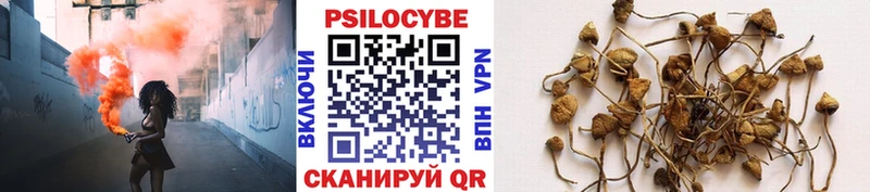 цены наркотик  Ак-Довурак  Псилоцибиновые грибы Psilocybe 